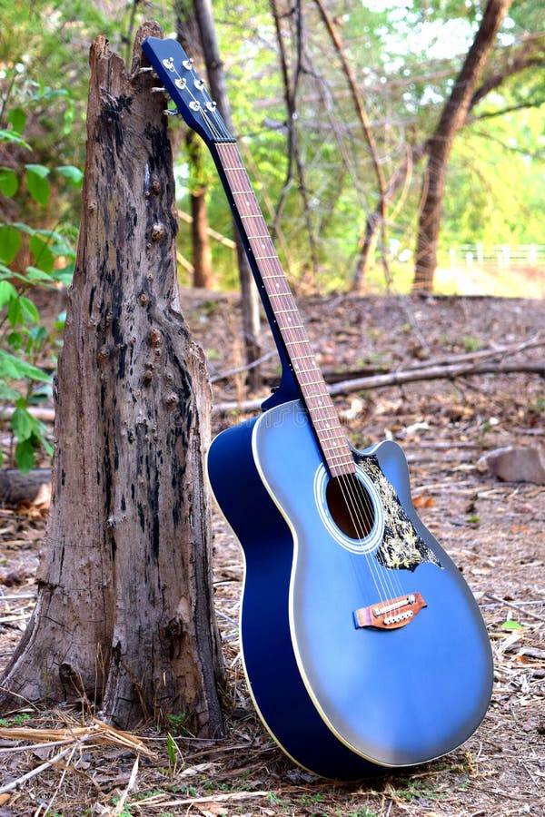 Guitarra acústica azul fotos de stock Guitarra acústica azul fotos de stock