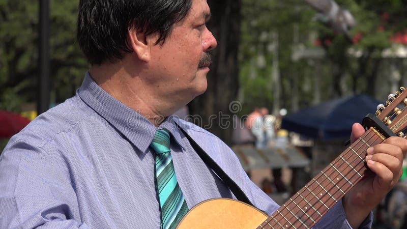 Guitarrista no parque com pombos