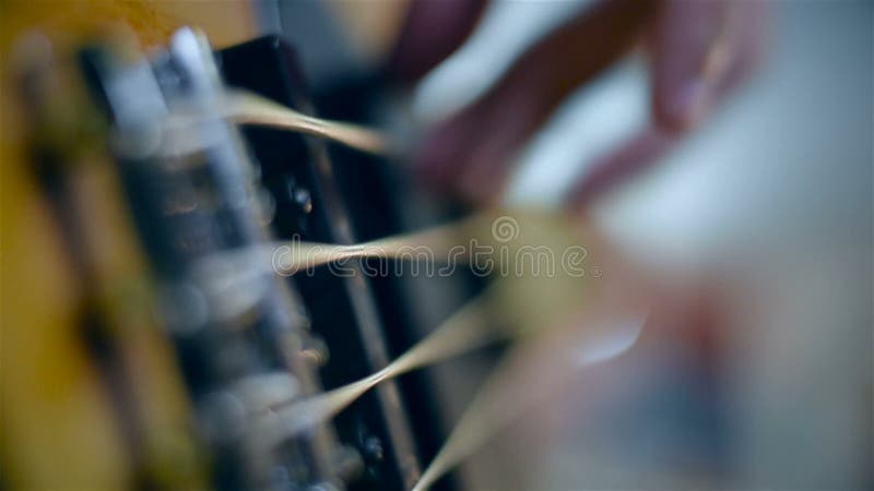 Guitarrista Playing On Bass Guitar