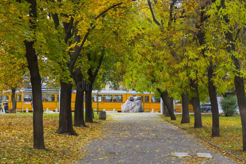Gul spårväg och höstgränd i Sofia, Bulgarien arkivbilder Gul spårväg och höstgränd i Sofia, Bulgarien arkivbilder