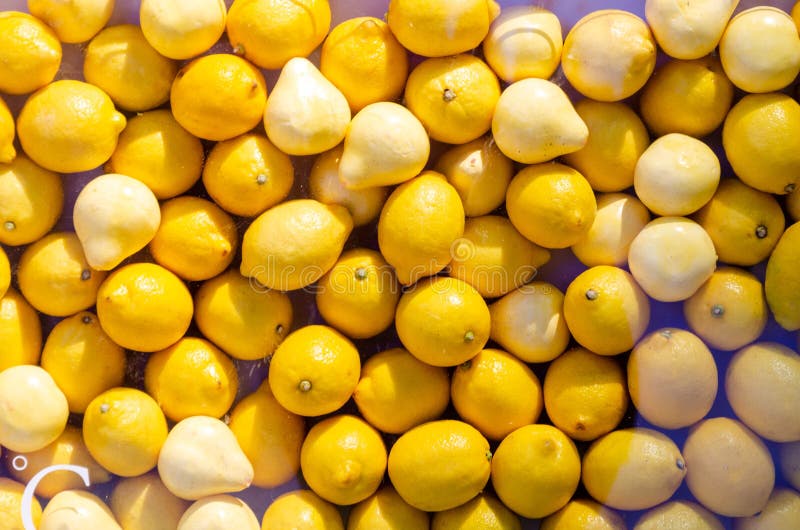 Gula citrusfrukter royaltyfri foto Gula citrusfrukter royaltyfri foto