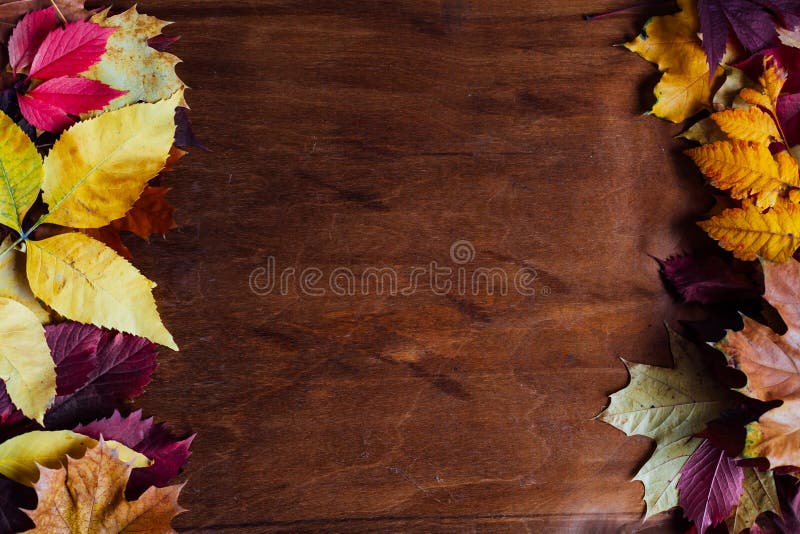 Yellow and red leaves autumn sour sour sour sours brown background. Yellow and red leaves autumn sour sour sour sours brown background