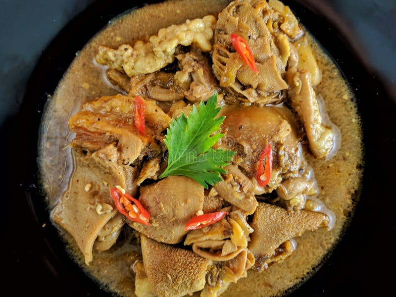 Gulai kambing è il cibo tradizionale indonesiano, tipo di cibo contenente salsa ricca, piccante e succulenta al curry immagine stock libera da diritti Gulai kambing è il cibo tradizionale indonesiano, tipo di cibo contenente salsa ricca, piccante e succulenta al curry immagine stock libera da diritti