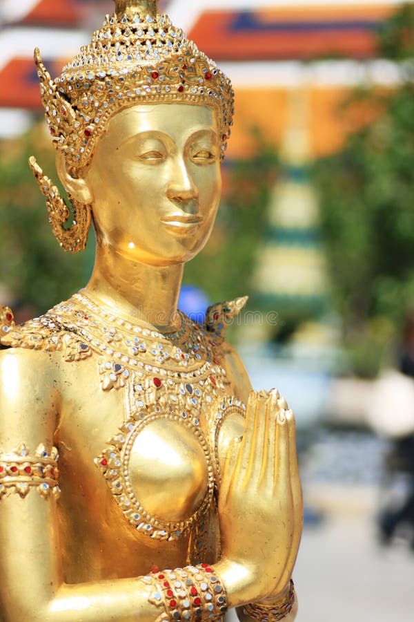 Guldpris thailand