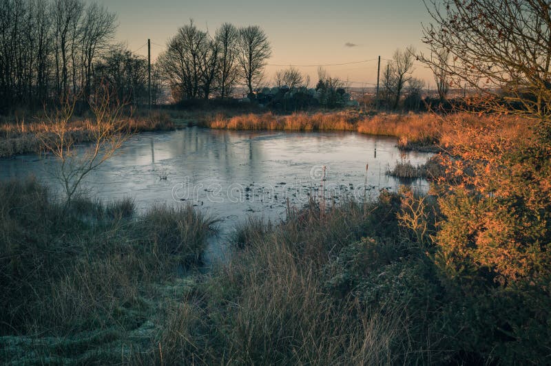 Guld- gryningljus bryter på ett djupfryst damm på den Wetley heden, Staffordshire royaltyfri foto