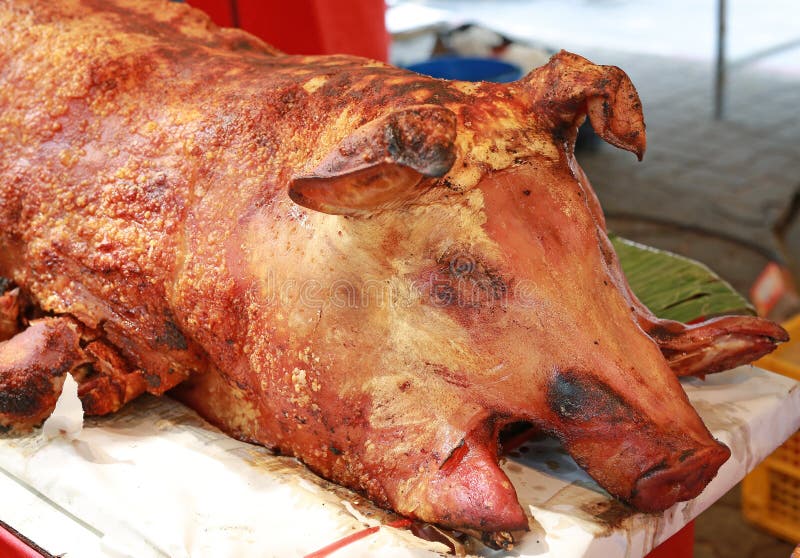 Guld- helt grillat svin Spottat grilla är en traditionell internationell luaumetod av att laga mat ett helt svin royaltyfri bild Guld- helt grillat svin Spottat grilla är en traditionell internationell luaumetod av att laga mat ett helt svin royaltyfri bild