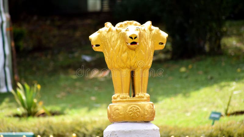 Guld- lionstaty fotografering för bildbyråer Guld- lionstaty fotografering för bildbyråer