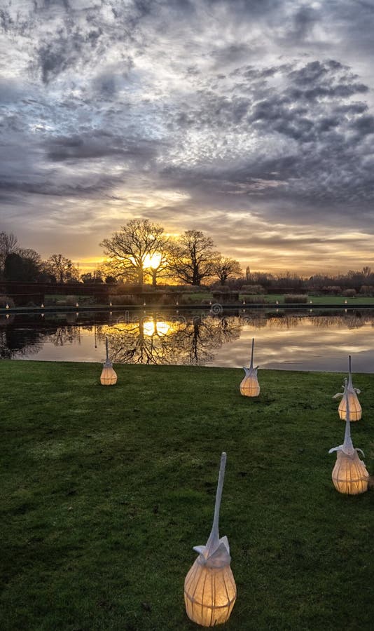 Guld- solnedgång och reflexioner på sjön, Wisley, England royaltyfri foto Guld- solnedgång och reflexioner på sjön, Wisley, England royaltyfri foto