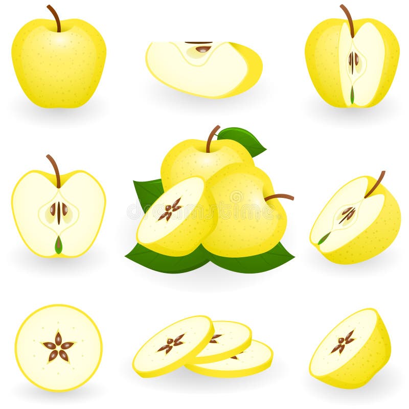 guld- äpple royaltyfri illustrationer guld- äpple royaltyfri illustrationer