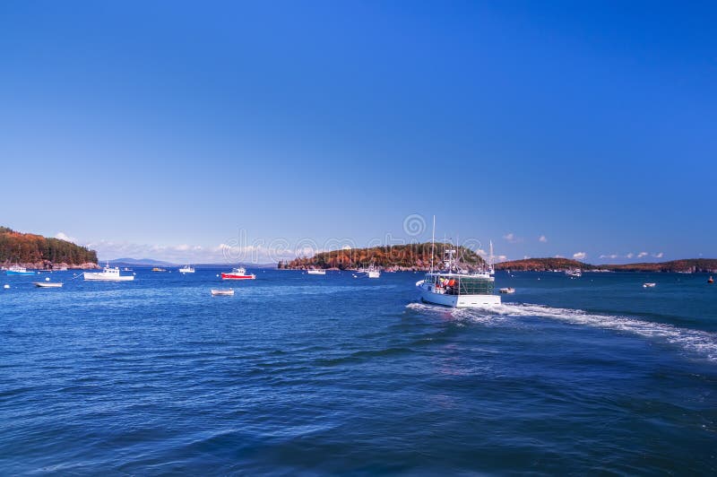 The Gulf of the Atlantic Ocean and Small Islands, Many Boats in the Water. the Coast of the