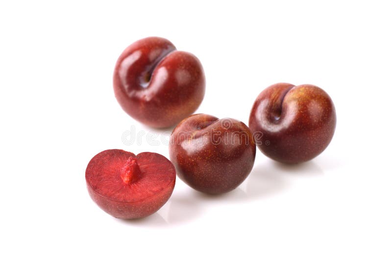 Gulf ruby plum. stock image. Image of natural, gold, gulf 56867133