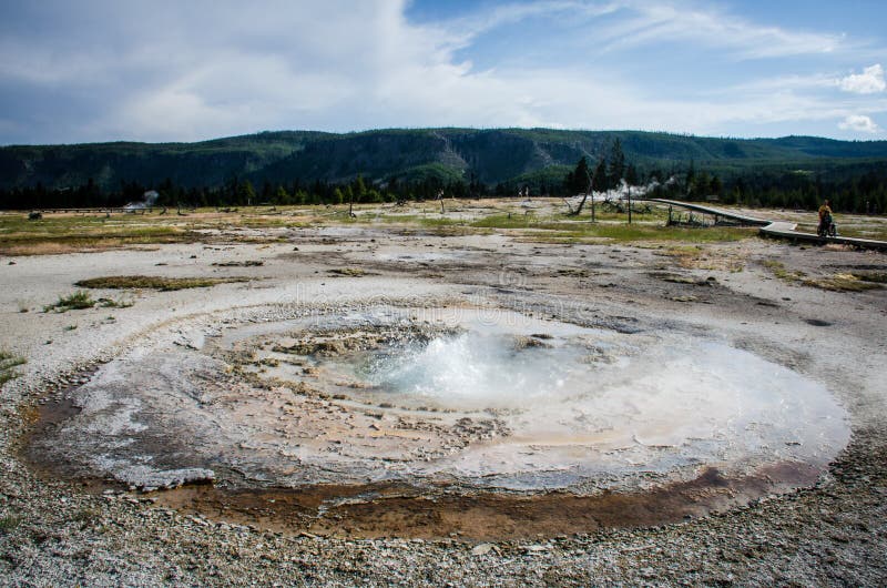 Gulgoczący gejzer gorącą wiosnę wśrodku Yellowstone parka narodowego i wybuchający przy Biskwitowym Basenowym terenem zdjęcia royalty free