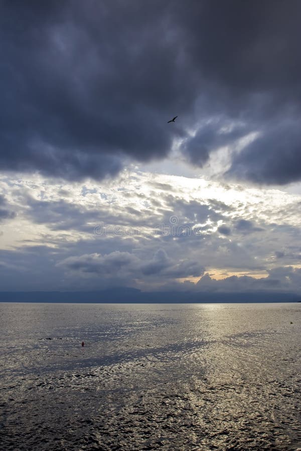 Gull flying over dark Adriatic sea