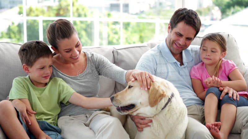 Gullig familj som tillsammans kopplar av på soffan med deras labrador hund