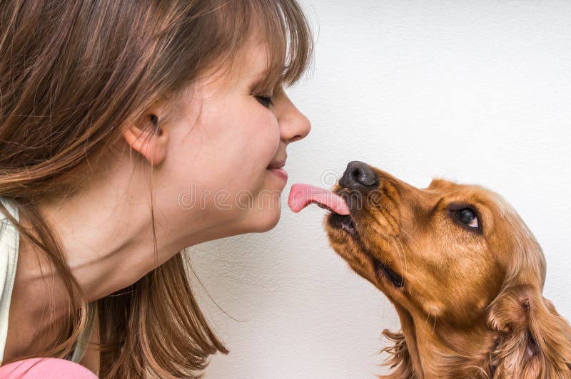Gullig hund som slickar framsidan av kvinnan arkivfoton Gullig hund som slickar framsidan av kvinnan arkivfoton