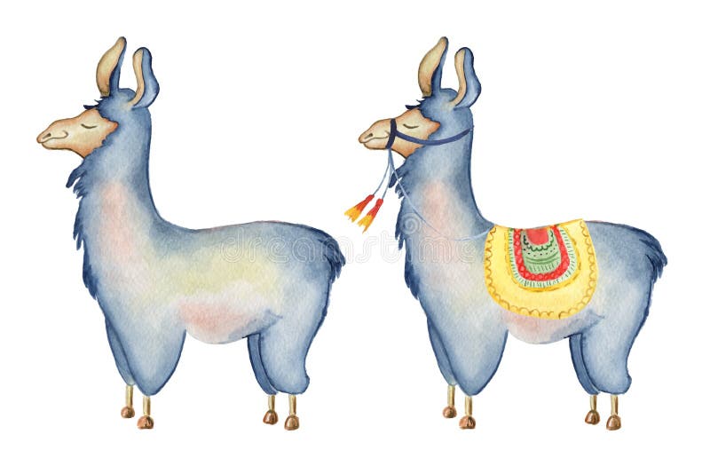 Gullig illustration för vattenfärg för lamatecknad filmtecken fastställd, Alpacadjur, hand dragen stil Isolerad vitbakgrund vektor illustrationer Gullig illustration för vattenfärg för lamatecknad filmtecken fastställd, Alpacadjur, hand dragen stil Isolerad vitbakgrund vektor illustrationer