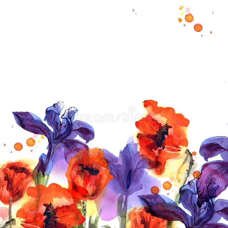 Gullig vattenfärgblommabakgrund med vallmo och iriers i ljusa färger stock illustrationer Gullig vattenfärgblommabakgrund med vallmo och iriers i ljusa färger stock illustrationer