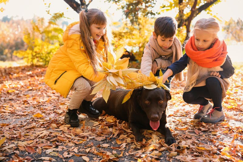 Gulliga små barn med hunden i höst parkerar fotografering för bildbyråer Gulliga små barn med hunden i höst parkerar fotografering för bildbyråer