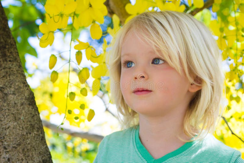 Gulligt barn i träd med härliga gula blommor royaltyfri fotografi Gulligt barn i träd med härliga gula blommor royaltyfri fotografi