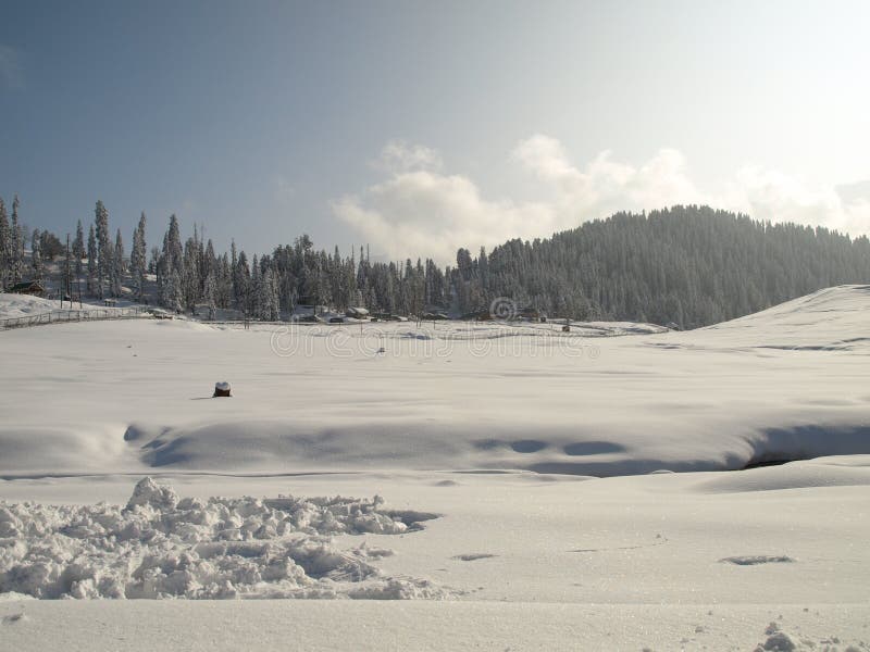 Gulmarg india nya kashmir sörjer snowtreen