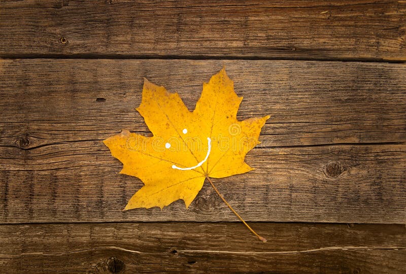 Gult blad för höst med leende på lantlig träbakgrund autum royaltyfria bilder