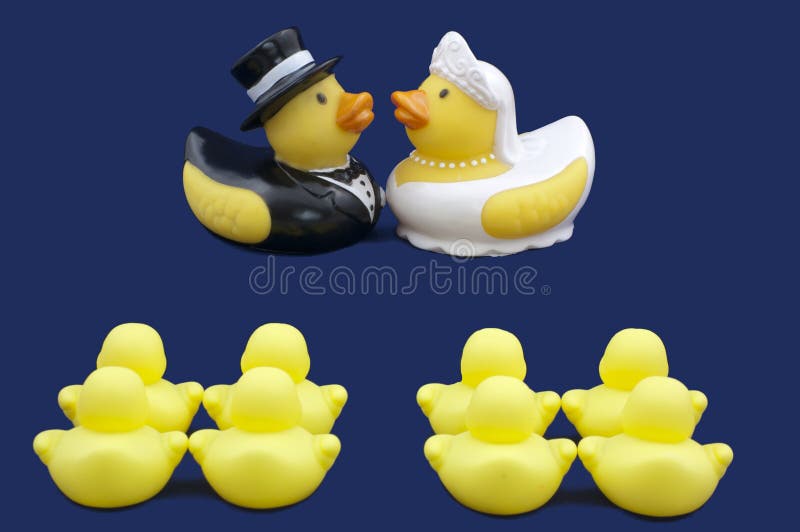 Gummi duckt Braut und Bräutigam Wedding Ceremony stockfotos Gummi duckt Braut und Bräutigam Wedding Ceremony stockfotos