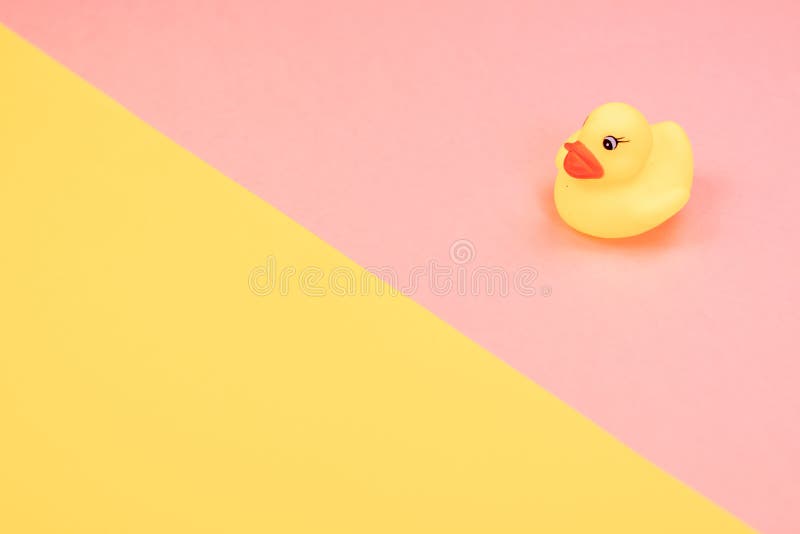 Gummibadand p? f?rgrik bakgrund B?sta sikt p? leksakgummianden Leksaklek f?r ducky sv?va f?r unge arkivbilder Gummibadand p? f?rgrik bakgrund B?sta sikt p? leksakgummianden Leksaklek f?r ducky sv?va f?r unge arkivbilder