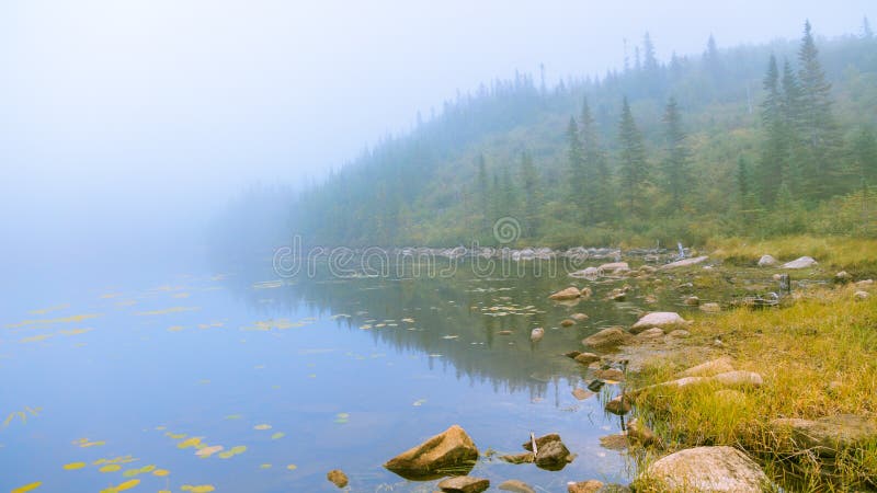 After rainy night, the fog is so thick that the lake cannot be seen. Reflection on the water. Lac Georges, Grands-Jardins National Park, Canada. Le Pioui Trail. After rainy night, the fog is so thick that the lake cannot be seen. Reflection on the water. Lac Georges, Grands-Jardins National Park, Canada. Le Pioui Trail.