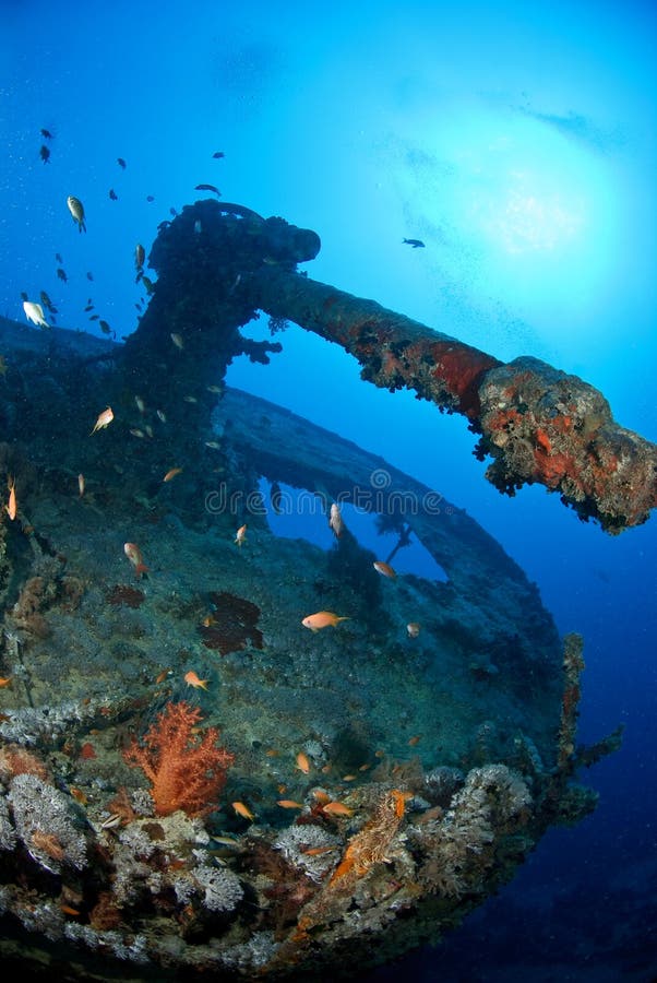 Gun of a ship wreck