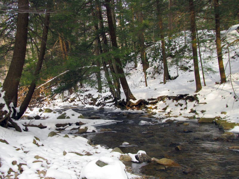 Gurgling Stream in the Snow and Ice in Winter. Gurgling Stream in the Snow and Ice in Winter