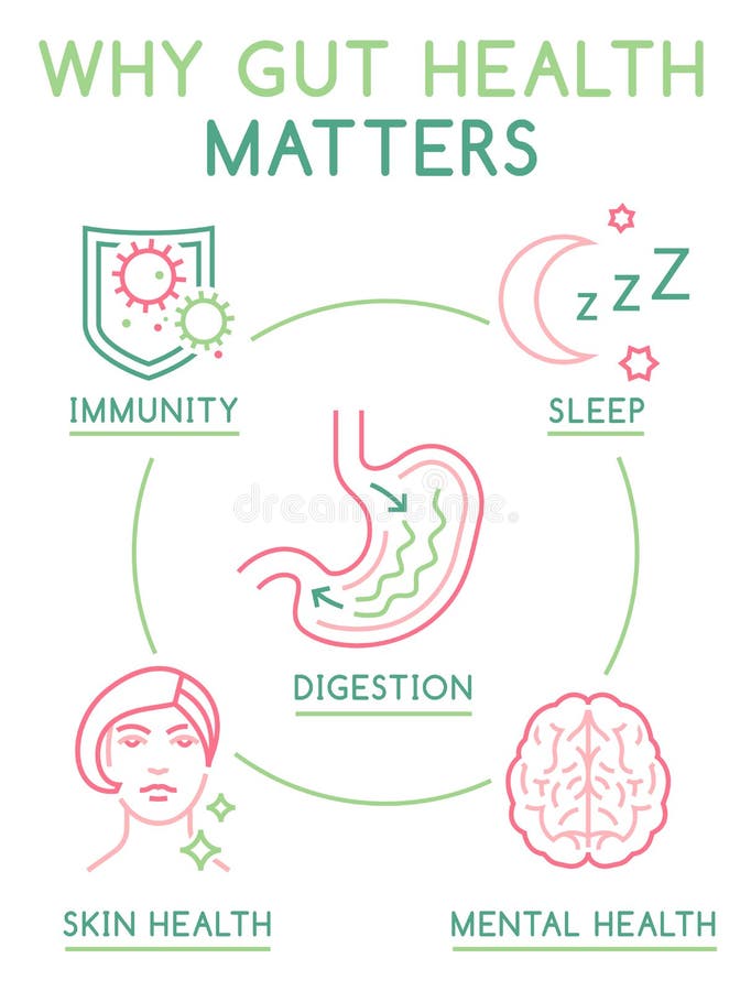 Por qué intestino asuntos.