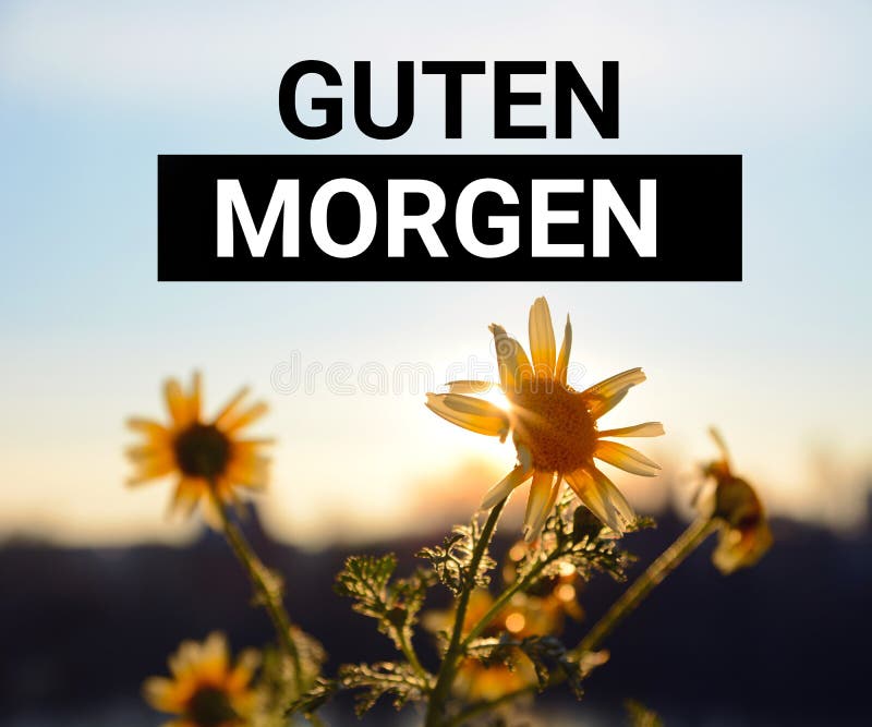 Guten Morgen - German Good morning title on a sunrise background with yellow flowers and sun