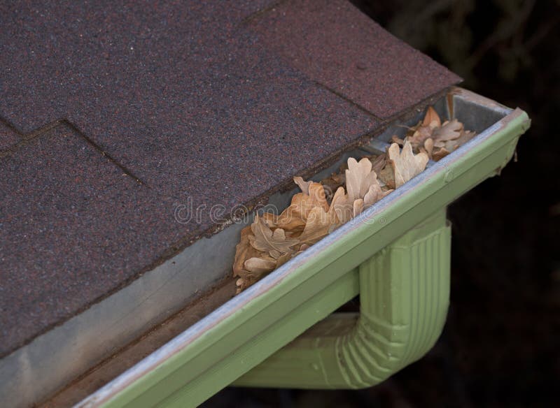 Gutter blocked by dry leaves stock photo