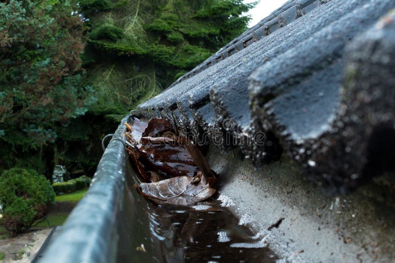Gutter blocked by leaves stock photo