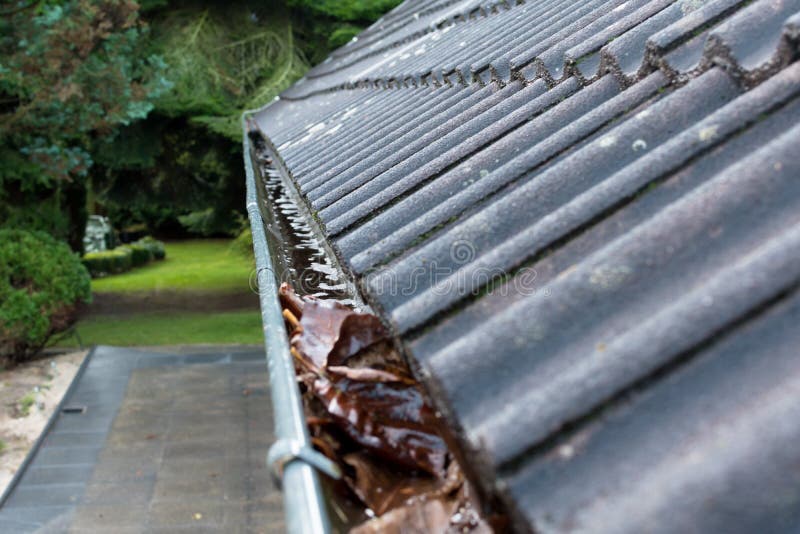 Gutter blocked by leaves royalty free stock image