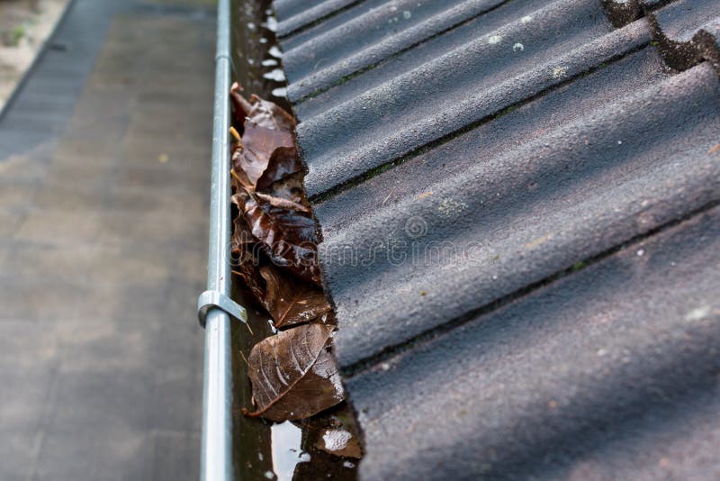 Gutter blocked by leaves stock images