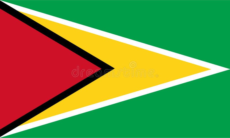 Guyana flag vector. Illustration of Guyana flag stock illustration