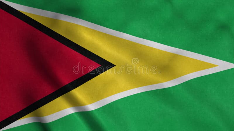 Guyana flag waving in the wind. National flag of Guyana. 4K vector illustration
