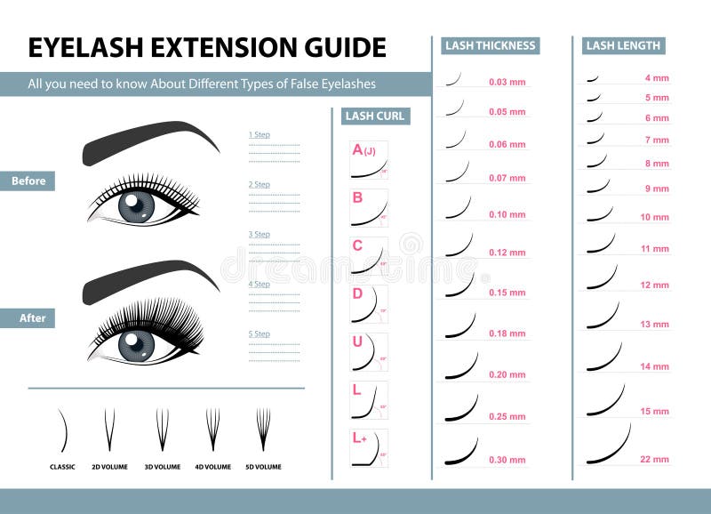 Guía de la extensión de la pestaña Diversos tipos de pestañas falsas Ejemplo del vector de Infographic Plantilla para el maquilla Guía de la extensión de la pestaña Diversos tipos de pestañas falsas Ejemplo del vector de Infographic Plantilla para el maquilla