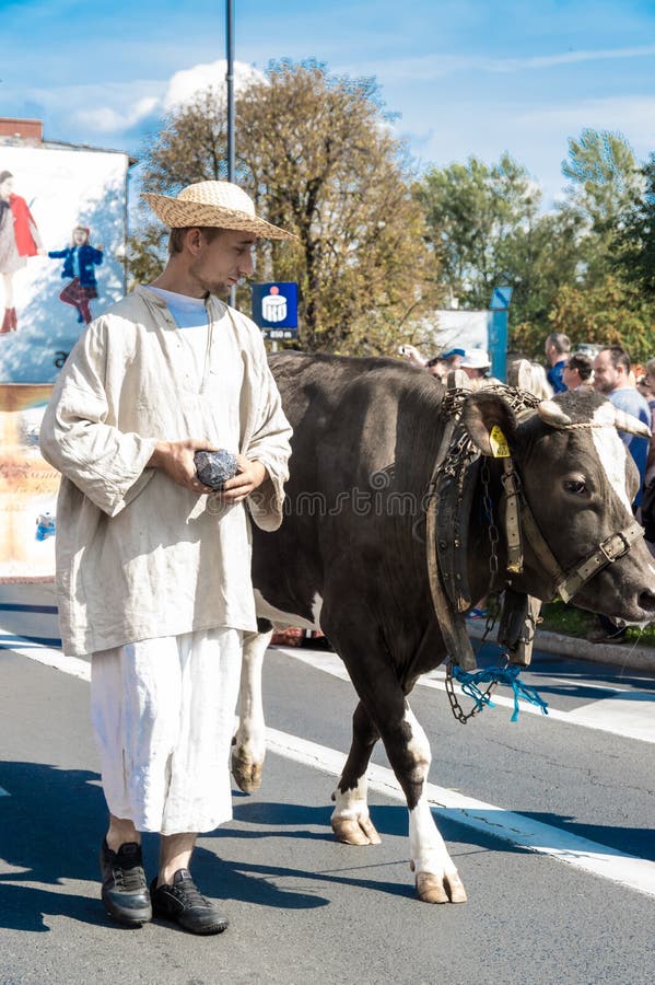TARNOWSKIE SANGRIENTO, POLONIA - 10 DE SEPTIEMBRE DE 2017: ` De Gwarki del ` un desfile de la calle en la ciudad sangrienta de Tarnowskie Celebretion de los mineros de plata del ` de los días de Gwarki del `