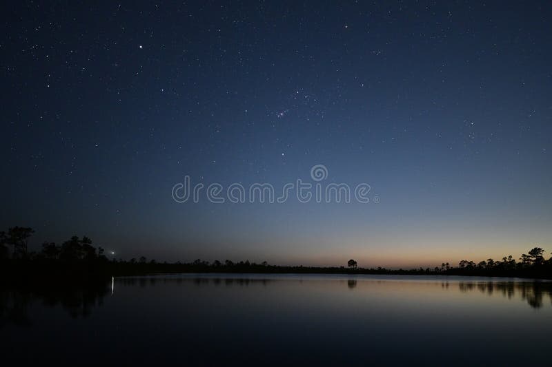 Gwiazdy na zmierzchu nad jeziorem sosnowym w everglades national park florida. zdjęcia stock