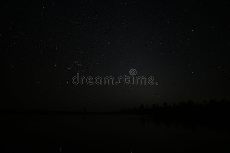 Gwiazdy nad jeziorem sosnowym w everglades national park florida. obraz royalty free