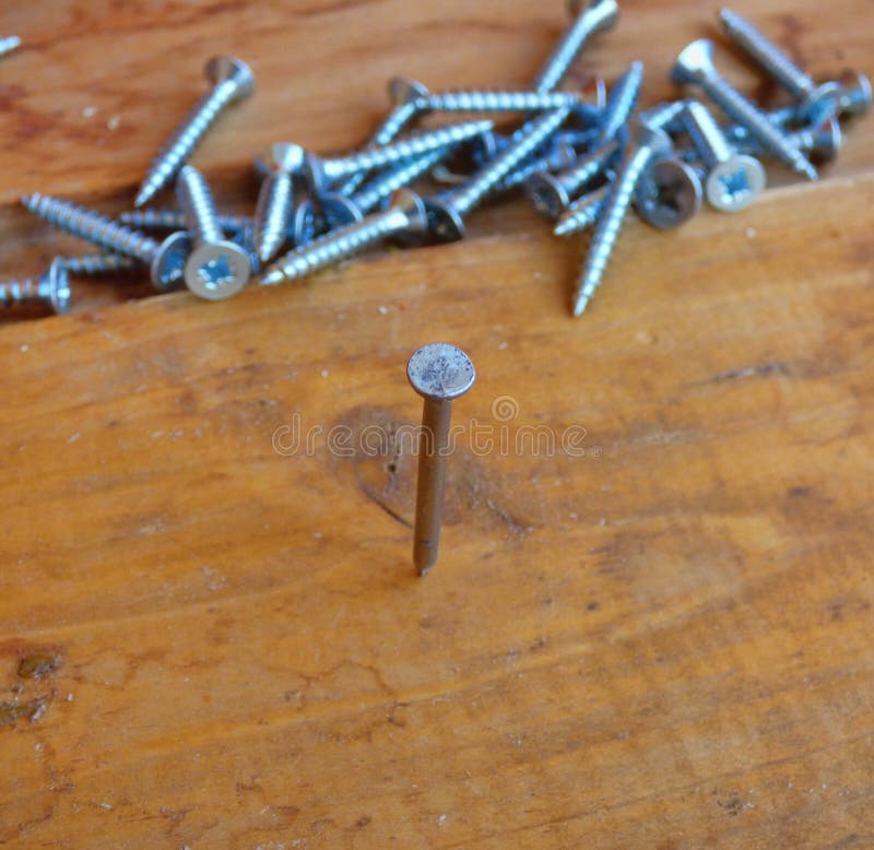 Alone nail, hammered in wooden board. With lot of fallen screws behind. Business concept - one do where team failed, not such as all. Soft focus. Alone nail, hammered in wooden board. With lot of fallen screws behind. Business concept - one do where team failed, not such as all. Soft focus.