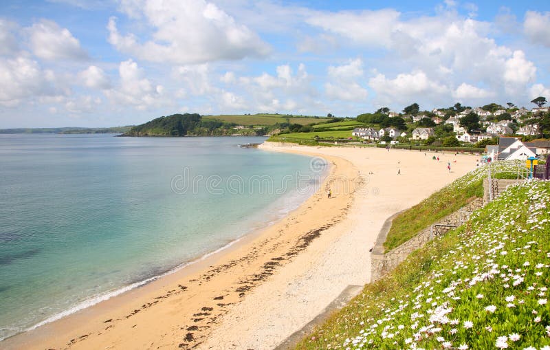 Gyllyngvase Strand, Falmouth. Stockfoto - Bild von hunde, bäume: 2748460