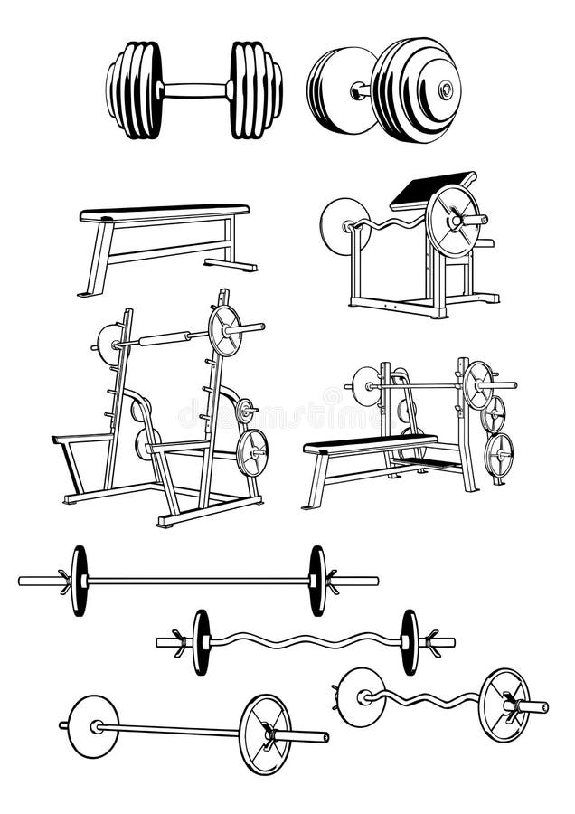 Gym essentials Vectors & Illustrations for Free Download