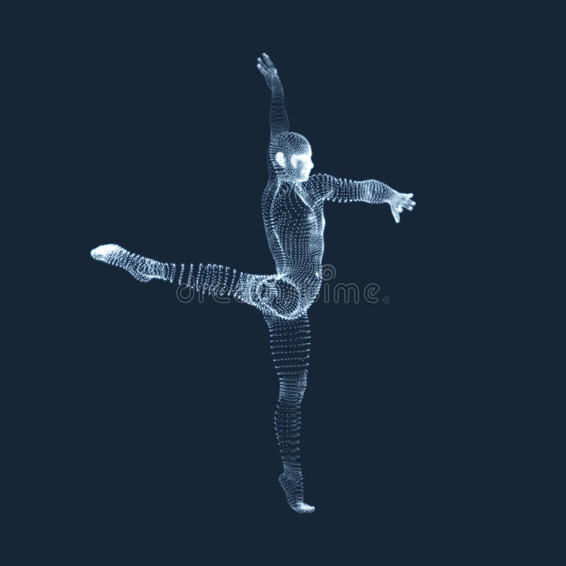 Gymnast. Man. 3D Human Body Model Stock Vector - Illustration of design ...
