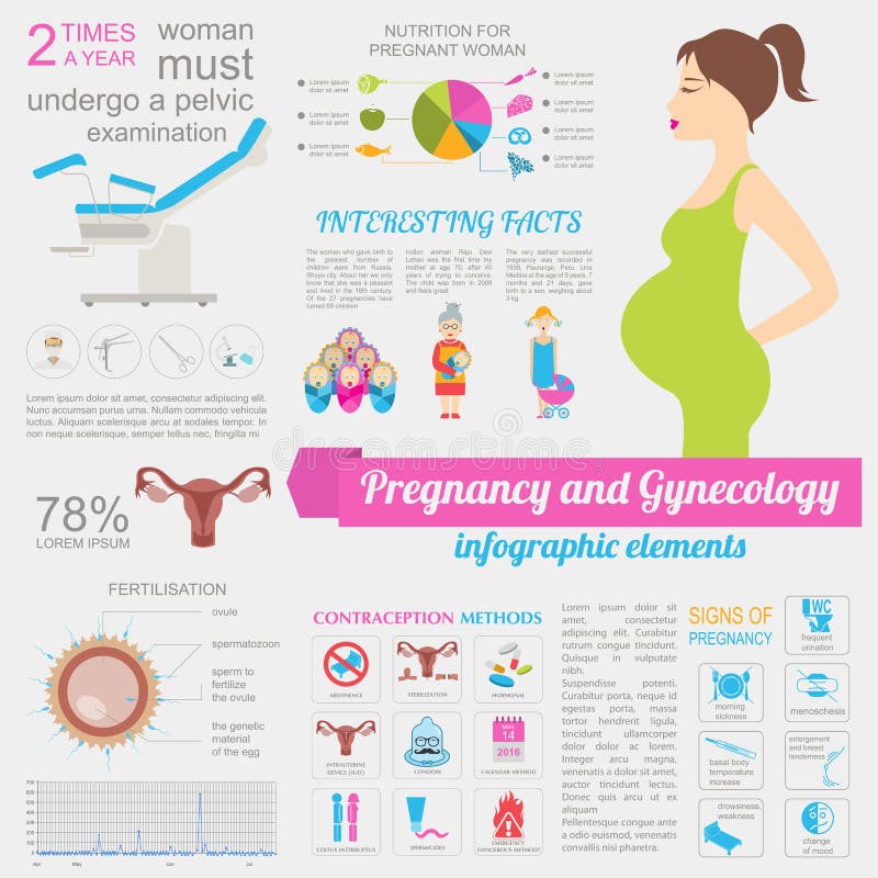 Gynecology and pregnancy infographic template. Motherhood elements. Constructor for creating your own design, infographics. Vector illustration