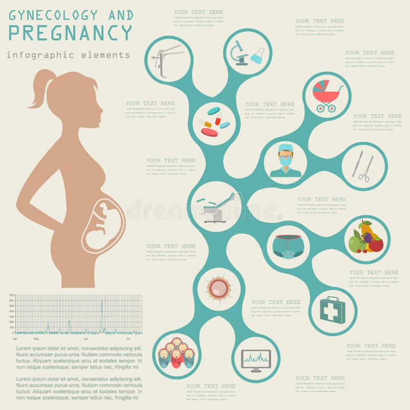 Gynecology and pregnancy infographic template. Motherhood elements. Constructor for creating your own design, infographics. Vector illustration