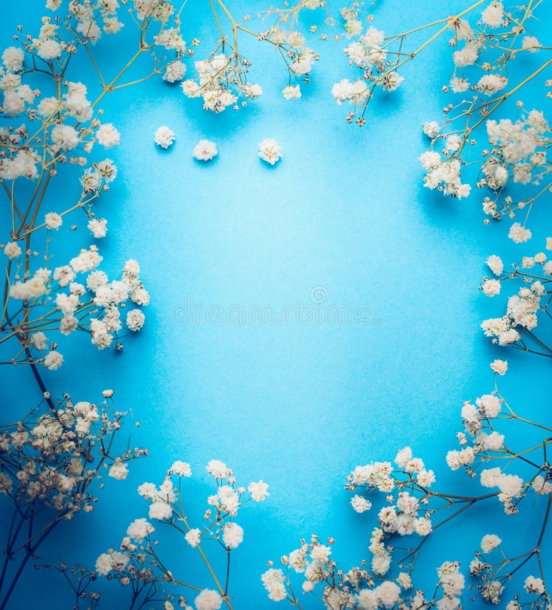 Gypsophila, λουλούδια s-αναπνοής μωρών ` στο μπλε υπόβαθρο Άσπρο πλαίσιο λουλουδιών, τοπ άποψη στοκ φωτογραφίες