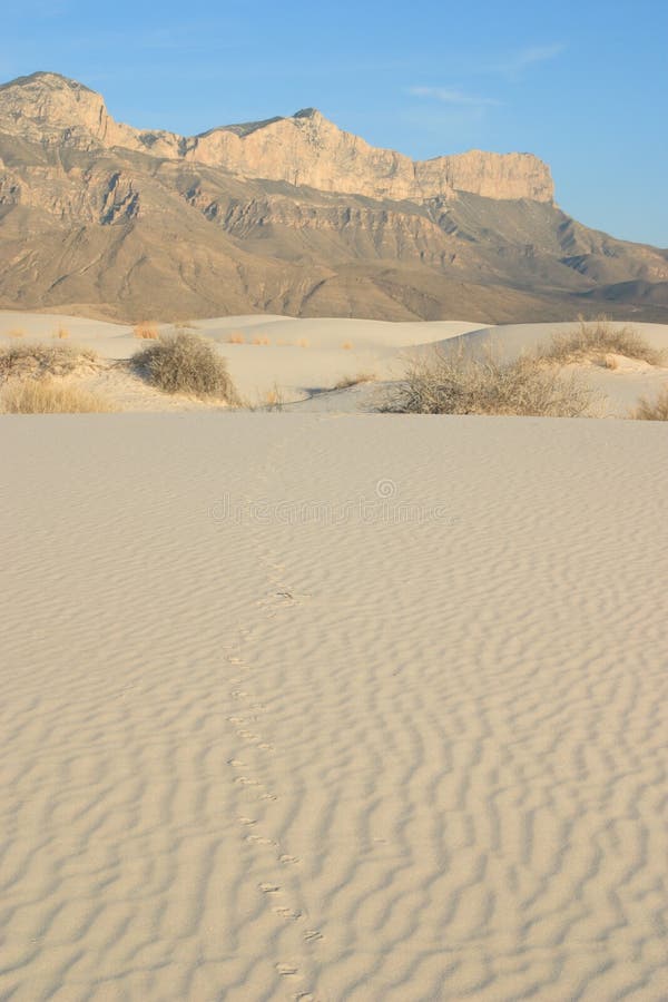 Gypsum Sand Dunes